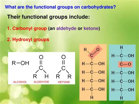 PPT - Unit #1 Biochemistry The Chemistry of Life PowerPoint ...