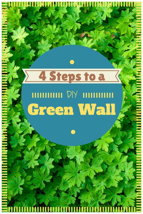 DIY Green Wall Made Easy in 4 Simple Steps