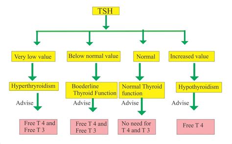 Thyroid - Part 1 - Thyroid Function Test (Thyroid Hormones) T4, T3, TSH ...