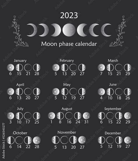 August 2023 Moon Phase Calendar