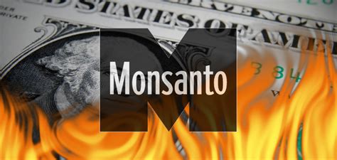 Monsanto Earnings Fall 34% as Farmers Reject GMO Crops - Natural Society