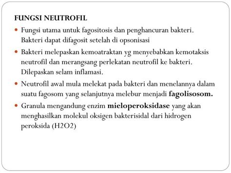 PPT - DARAH PERIFER, SUM-SUM TULANG DAN HEMATOPOIESIS PowerPoint ...