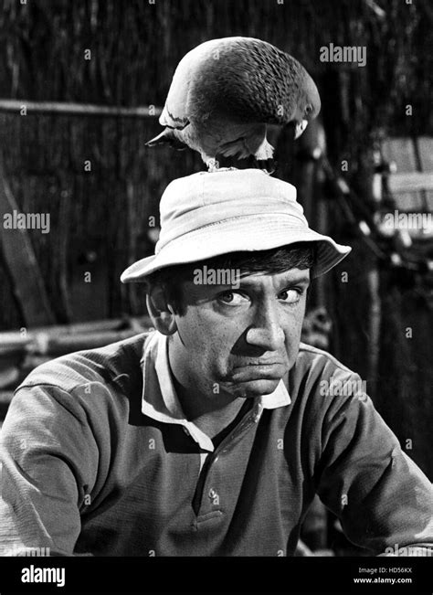 GILLIGAN'S ISLAND, Bob Denver, 1964-67 Stock Photo - Alamy