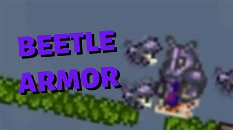 Terraria | How to get Beetle Armor - YouTube