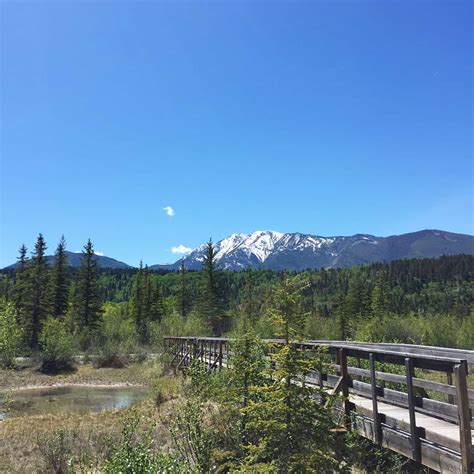 Hike: Source of the Columbia Trail, BC - This Big Adventure