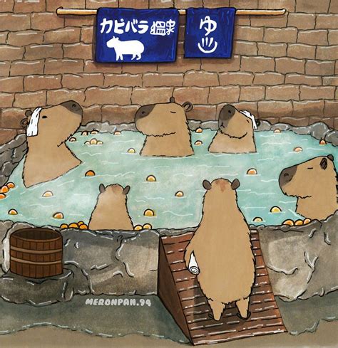 Capybara Hot Tub by meronpan.94 : capybara