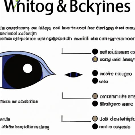 Exploring How Does Eye Black Work: Definition, Science and Benefits ...