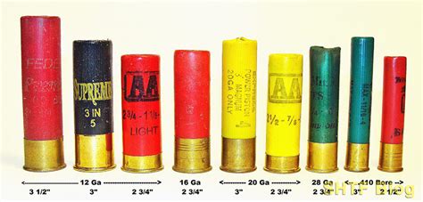 Shotgun Gauges Defined in Newbie Phrases | Prepper Daily Buzz