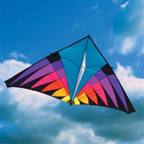 Image result for images of kites art | Delta kite, Kite, Kite designs