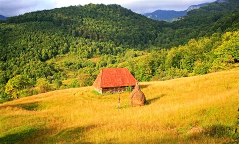 Munții Apuseni « LocuriDinRomania.ro