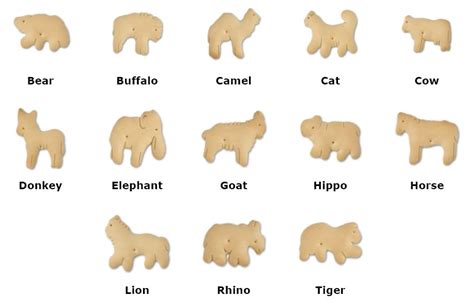 Animal Cracker Identifier: Discover the Animals in the Box