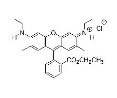 Rhodamine 6G