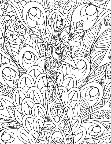 Perfect Peacock Coloring Pages for Kids and Adults