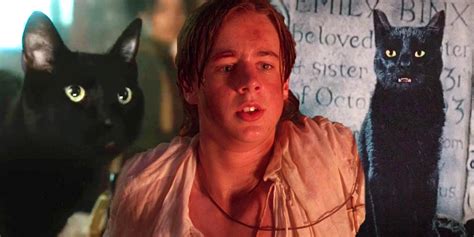 Hocus Pocus Actors, Hocus Pocus Cat, Thackery Binx, Best Halloween ...