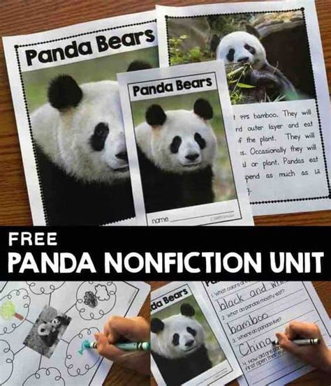 FREE Printable Nonfiction Panda Unit - Homeschool Giveaways