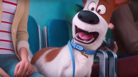 First Trailer For THE SECRET LIFE OF PETS 2 Asks if We Really Know Our Pets — GeekTyrant