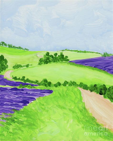 Lavender Field Painting Painting by Pam Campbell - Fine Art America