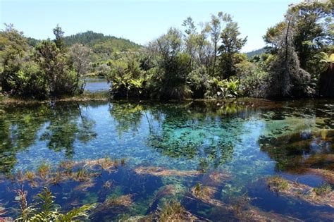 Te Waikoropupu Springs (A Guide)