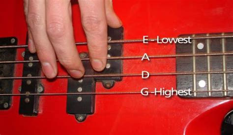 bass guitar string letter names - Bassist HQ