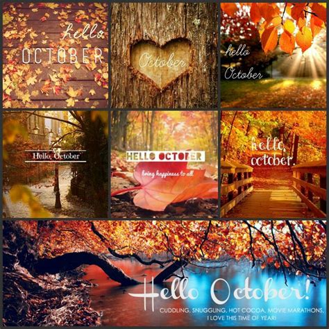 Hello October | Hello october, Fall pictures, Hello autumn