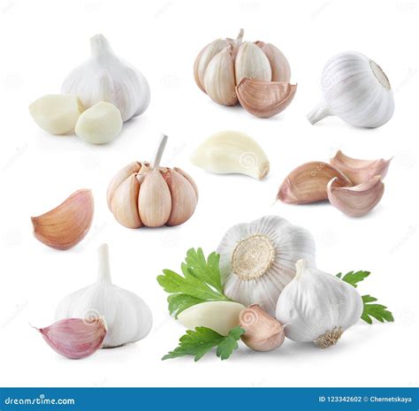 Set Of Different Garlic Bulbs And Cloves Stock Photo - Image of allium ...