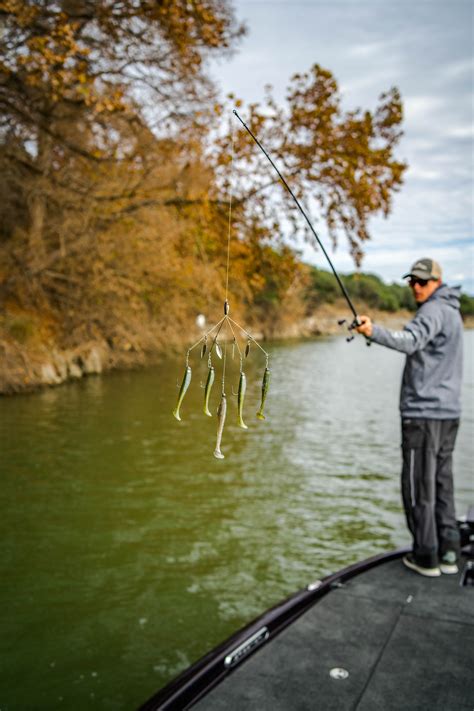 Five Umbrella Tips for Catching More bass | Bass Angler Magazine