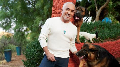 'Dog whisperer' Cesar Millan says a long walk is 'the biggest birthday gift you can give to a ...