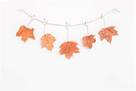 10 Maple Leaf Crafts for Fall | DIY