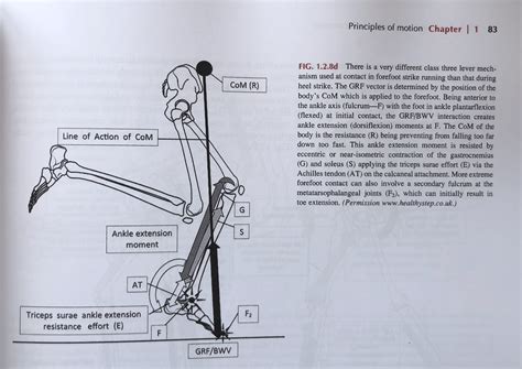 A new textbook you need to know about. - Podiatry Clinics (Yorkshire) Ltd