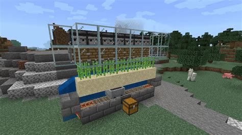 How to make an automatic sugar cane farm in Minecraft - Gamepur