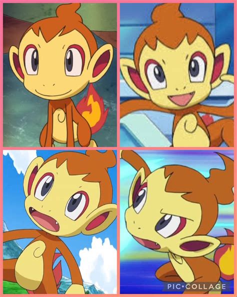 Chimchar (Collage) by VanessaThePanther on DeviantArt