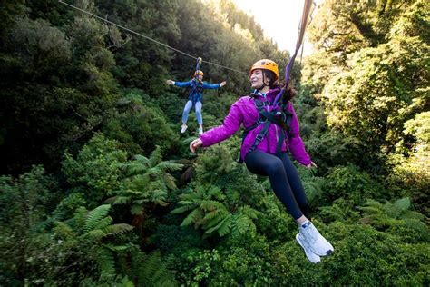 Bookafly | Activity | Ziplining Forest Experience - The…