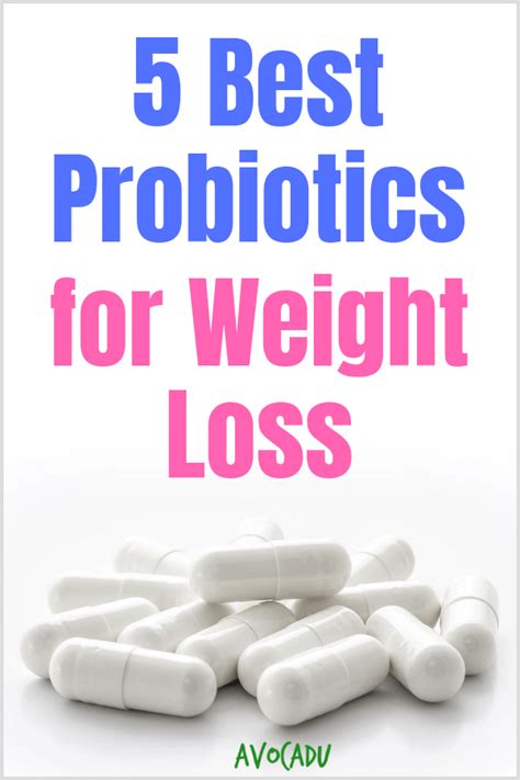 5 Best Probiotics for Weight Loss: and Why You Need Them | Avocadu