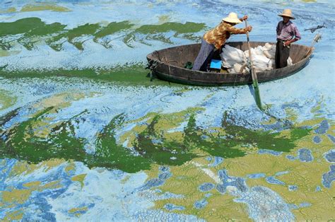 China Water Pollution - Business Insider