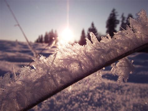 Free stock photo of crystal, crystals, snow