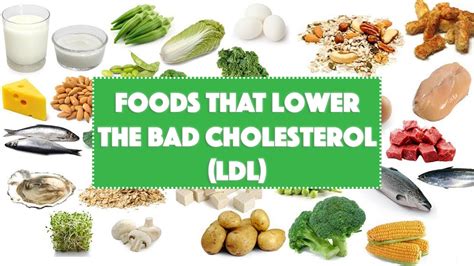 food that helps to lower the bad cholesterol (LDL) - YouTube