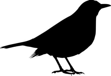 File:Blackbird Turdus merula female silhouette.svg - Wikimedia Commons
