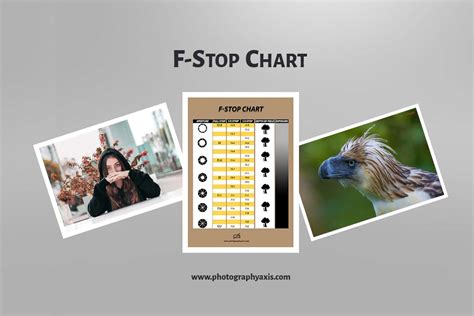 F stop Chart (Aperture Stop Chart) Explained - PhotographyAxis