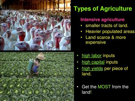 PPT - Types of Farming PowerPoint Presentation, free download - ID:1695345