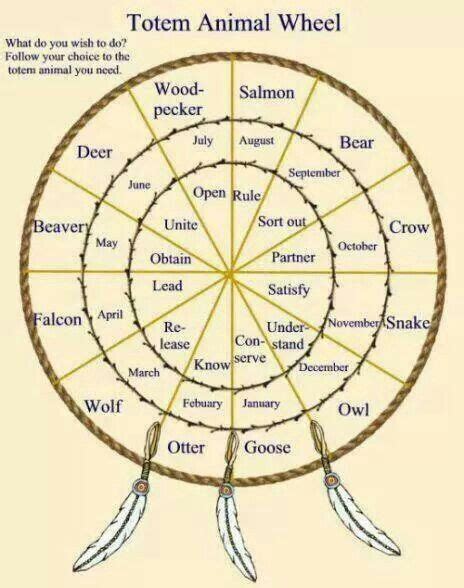 an animal wheel is shown with the words written in different languages ...