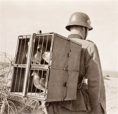 61 best images about Clandestine Spy Radios on Pinterest | Radios, Kent coast and Suitcases