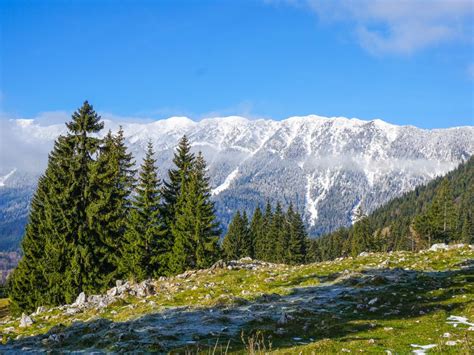 Carpathian Mountains winter hiking tour - Romania Tour Store