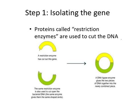 Genetic engineering