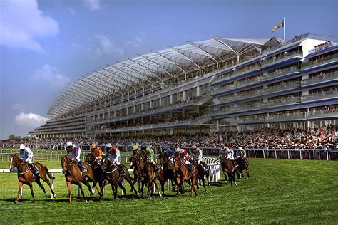 Ascot Racecourse Events 2024 - Emlyn Marguerite