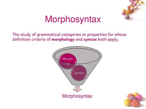 Introduction to morphosyntax