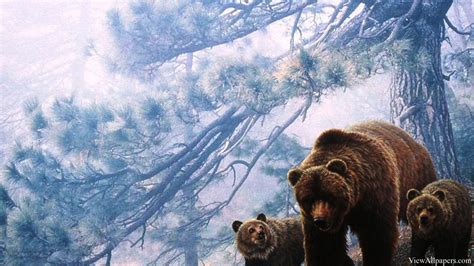 🔥 [28+] Grizzly Backgrounds | WallpaperSafari