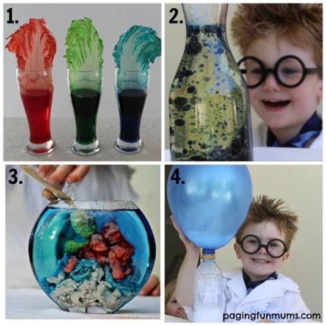 20+ Home Science Projects for Kids