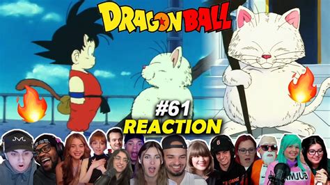 GOKU MEETS KORIN!🔥SACRED WATER? REACTION MASHUP Dragon Ball Episode 61🐲 (ドラゴンボール超 - YouTube