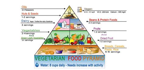 Meatless Monday: Basic Vegetarian Food Pyramid Facts