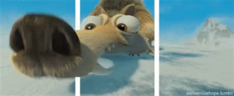 Sniff Nose GIF - Sniff Nose Ice Age - Discover & Share GIFs